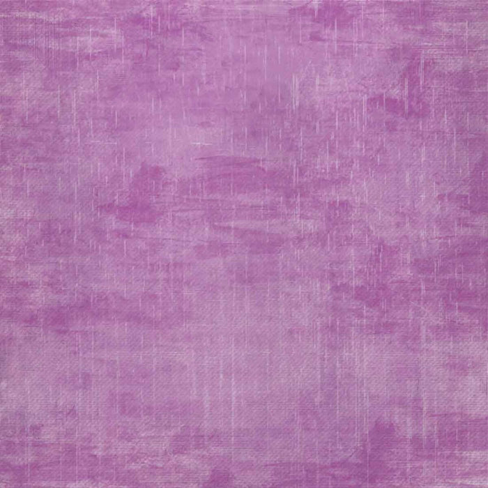 Folii de transfer invizibile pentru plotter de tăiere Cricut DISTRESSED BERRY