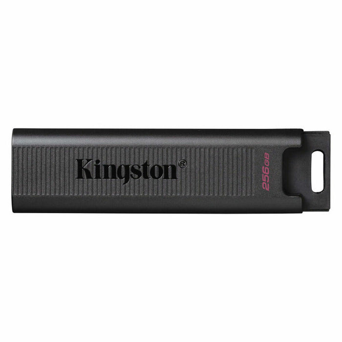 Memorie USB Kingston DTMAX/256GB 256 GB