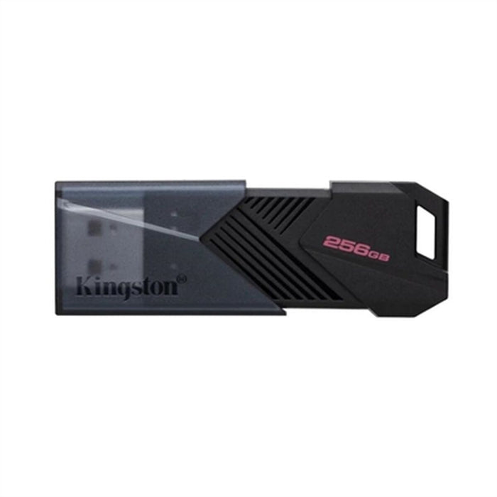 Memorie USB Kingston DTXON/256GB