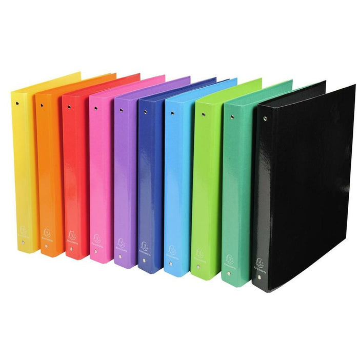 Biblioraft Exacompta Căptușit Carton A4 10 Piese 32 x 26 x 3 cm