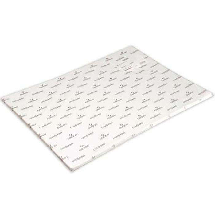 Hârtie acuarelă Canson Alb 25 Piese 350 g/m² 50 x 70 cm