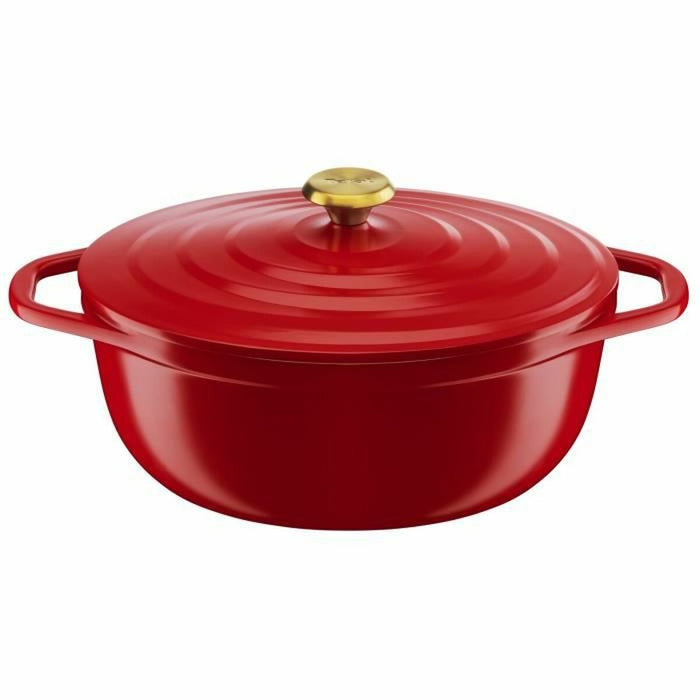 Crăticioară Tefal E2548904 Roșu 30 x 23 cm
