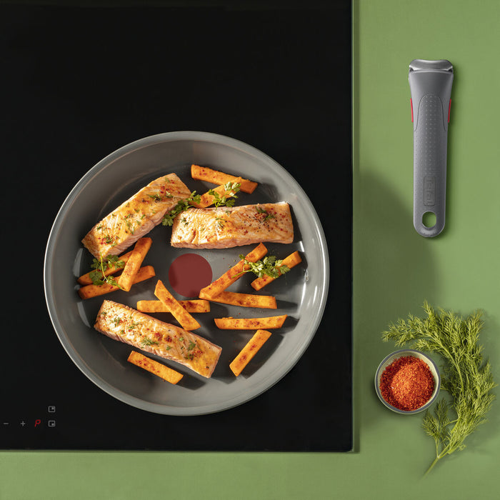 Tigaie SEB L2600402 Gri Aluminiu Ø 24 cm