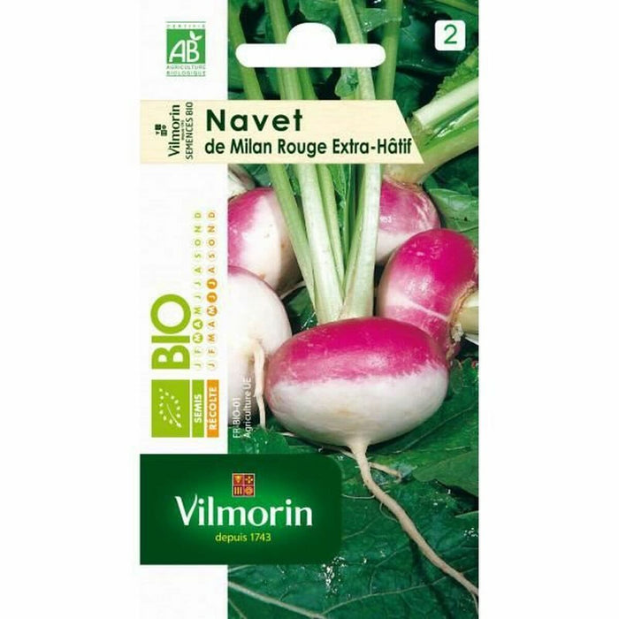 Semințe Vilmorin 3700942 Napi