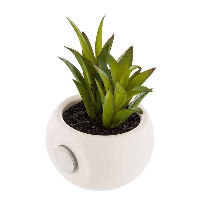 Plantă decorativă Atmosphera Magnetic Verde PVC