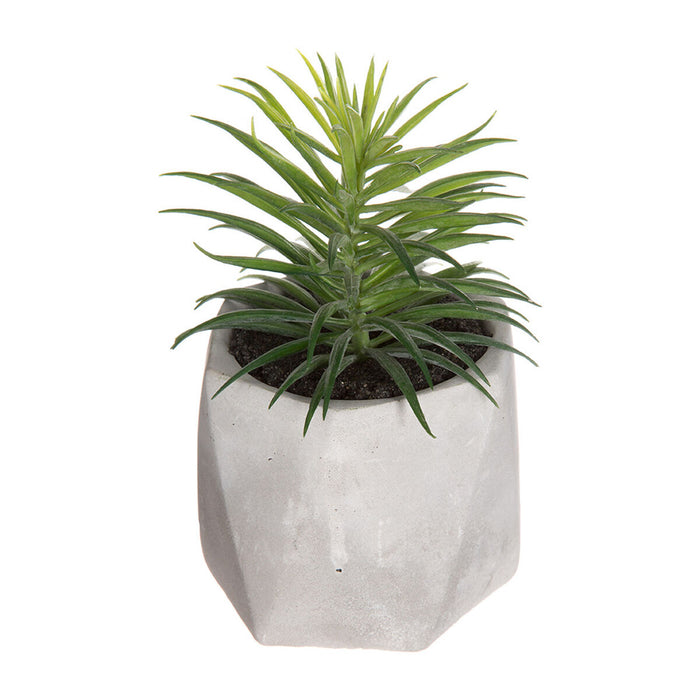 Plantă decorativă Atmosphera 7 x 14 cm Verde PVC