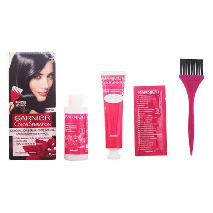 Vopsea Permanentă Color Sensation N1 Garnier