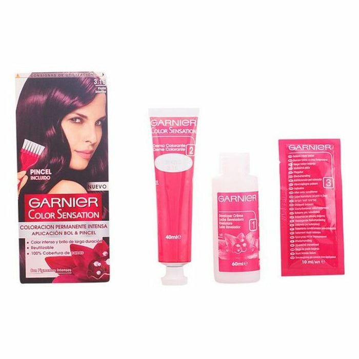 Vopsea Permanentă Color Sensation Garnier
