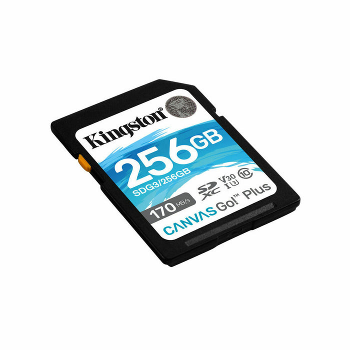 Card de Memorie SD Kingston SDG3/256GB