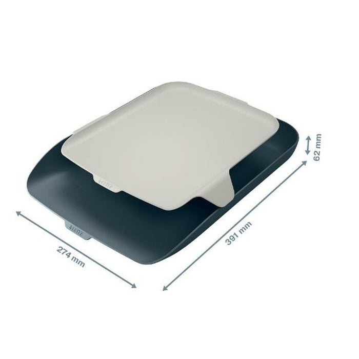 Tavă de arhivare Leitz 52590089 Gri A4 Aluminiu