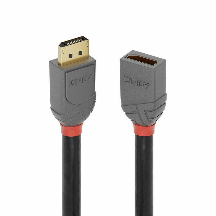 Cablu DisplayPort LINDY 36497 2 m Negru