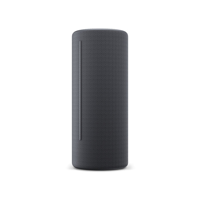 Difuzor Bluetooth Loewe We. HEAR 1 Gri 40 W