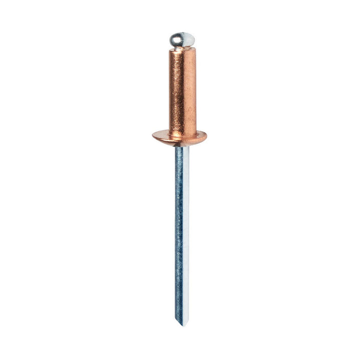 Nituri Rapid 5001462 Ax Ø 4 x 10 mm Cupru Aluminiu (50 Unități)