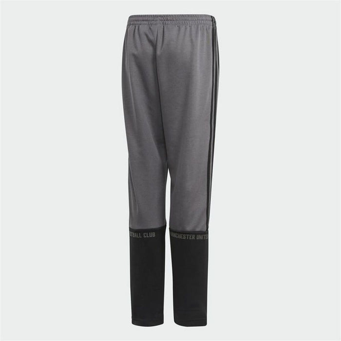 Pantaloni Sport pentru Copii Adidas Manchester United Gri