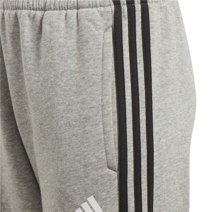 Pantaloni Sport pentru Copii Adidas Gri
