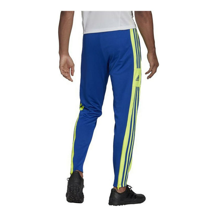 Pantaloni pentru Adulți Adidas Squadra 21 M Albastru Bărbați