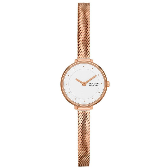 Ceas Damă Skagen GITTE LILLE (Ø 22 mm)