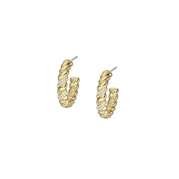 Cercei Damă Fossil JF04170710