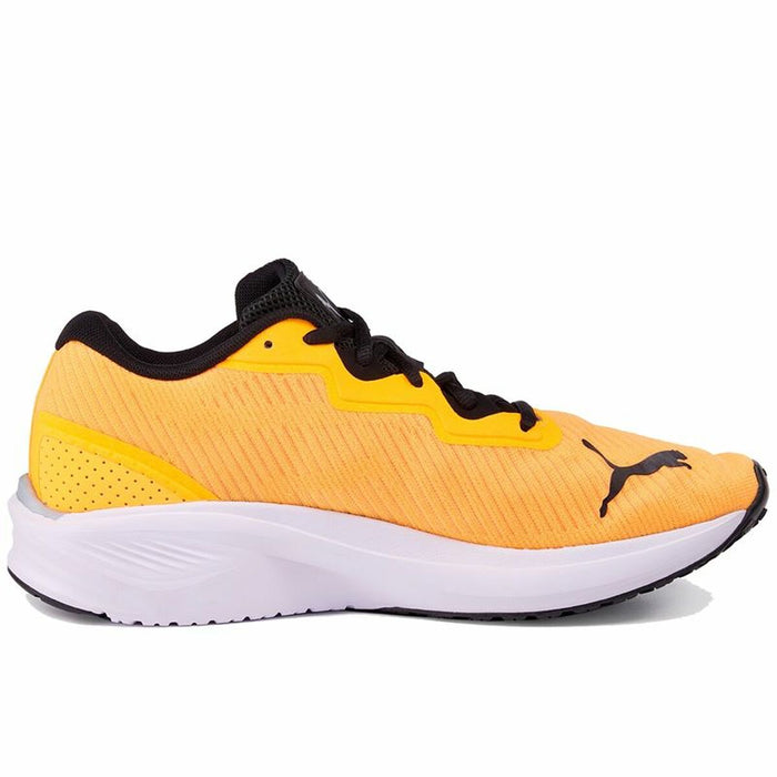 Încălțăminte de Running pentru Adulți Puma Aviator Profoam Sky Portocaliu Bărbați