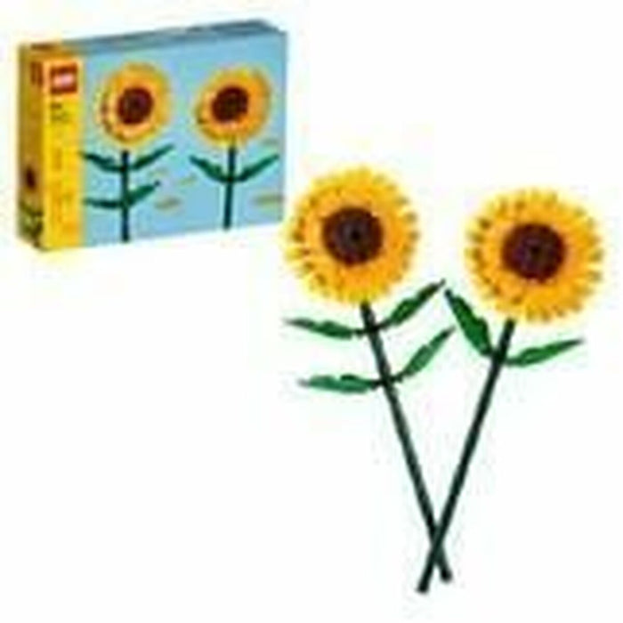 Playset Lego 40524 Multicolor