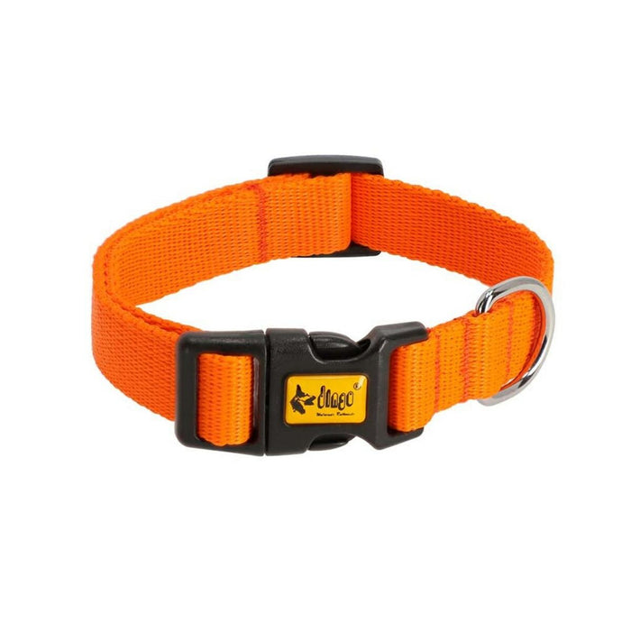 Zgardă pentru câini Dingo 14755 Portocaliu 20 cm