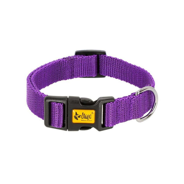 Zgardă pentru câini Dingo 14764 Purpuriu 28 cm 20 cm