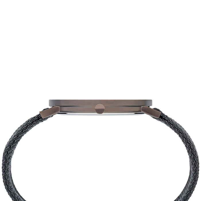 Ceas Bărbați Pierre Cardin CBV-1036