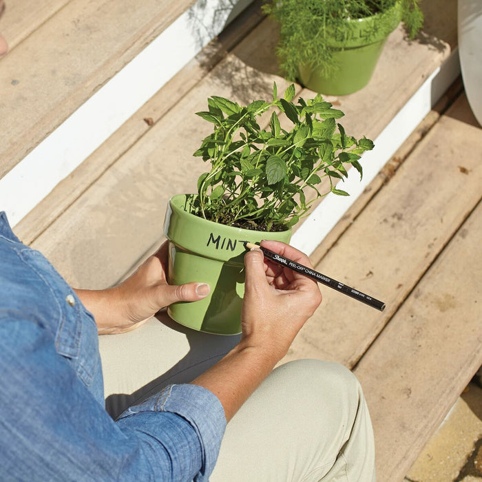 Marker Sharpie China Permanent Negru 12 Piese (12 Unități) (1 Unități)