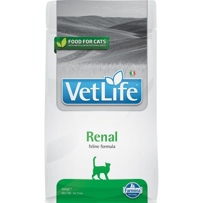 Mâncare pentru pisici Farmina Vet Life Pui Pește 400 g