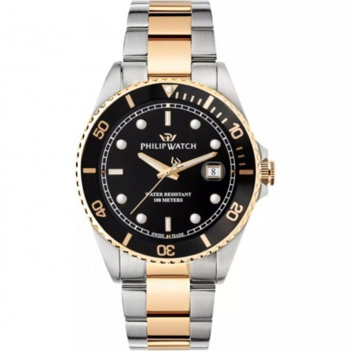 Ceas Bărbați Philip Watch R8253597081 Negru Argintiu