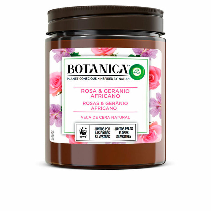 Lumânare Parfumată Air Wick Botanica Mușcată Trandafiri 205 g