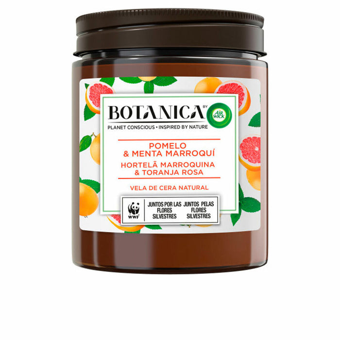 Lumânare Parfumată Air Wick Botanica Mentă Grepfrut 205 g