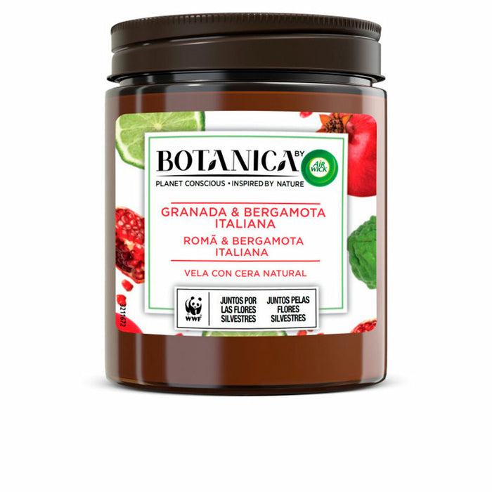 Lumânare Parfumată Air Wick Botanica Rodie Bergamotă 205 g