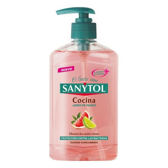 Săpun de Mâini cu Dispenser Antibacterias Kitchen Sanytol 280120 (250 ml) 250 ml