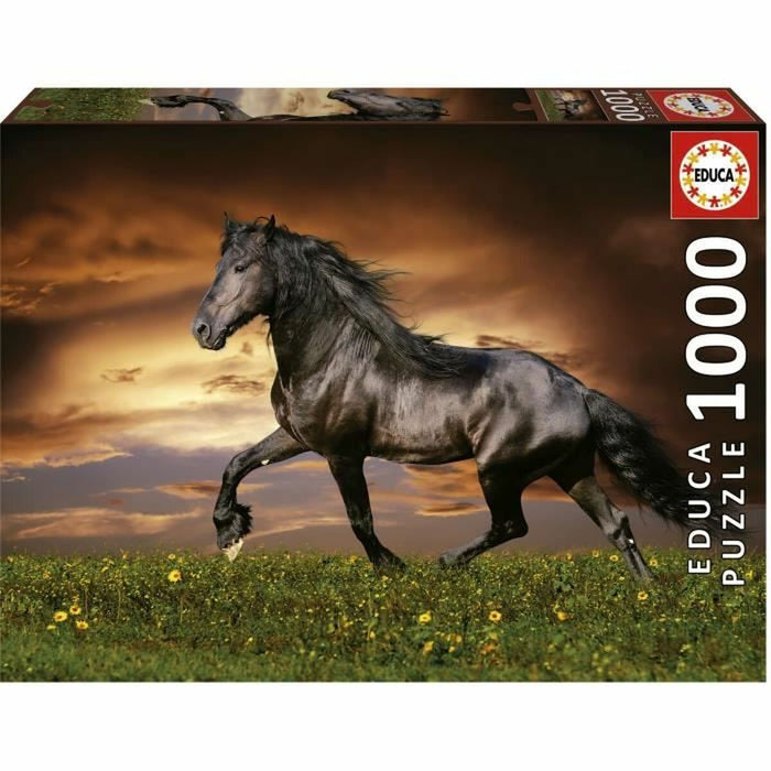 Puzzle Educa 1000 Piese Cal