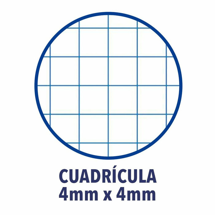 Notebook ENRI A4 Albastru (10 Unități)