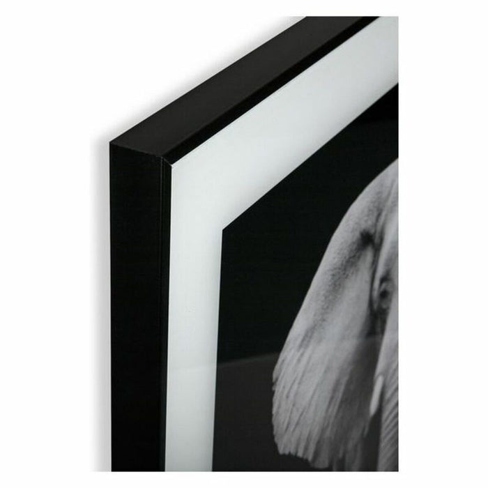 Tablou Versa (2 x 50 x 50 cm)