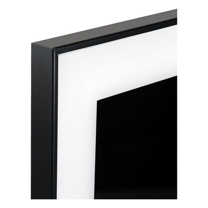 Tablou Zebră Geam (2 x 50 x 50 cm)