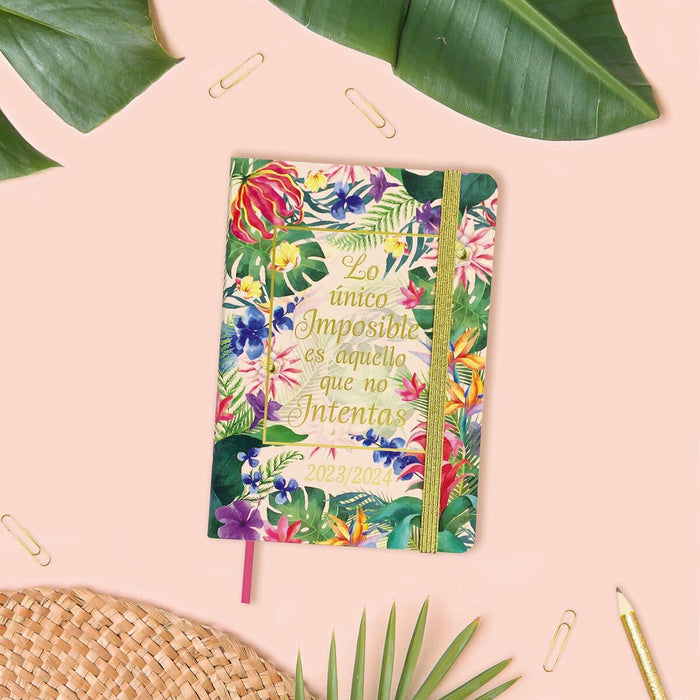 Agendă Finocam Natural Şcoală 2023-2024 Multicolor 11,8 x 16,8 cm