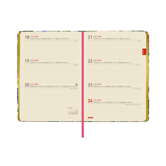 Agendă Finocam Natural Şcoală 2023-2024 Multicolor 11,8 x 16,8 cm