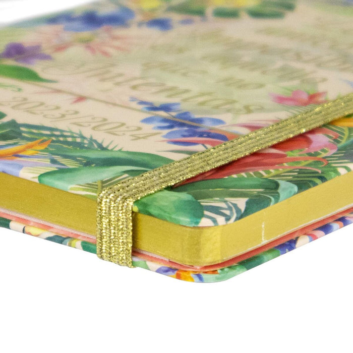 Agendă Finocam Natural Şcoală 2023-2024 Multicolor 11,8 x 16,8 cm