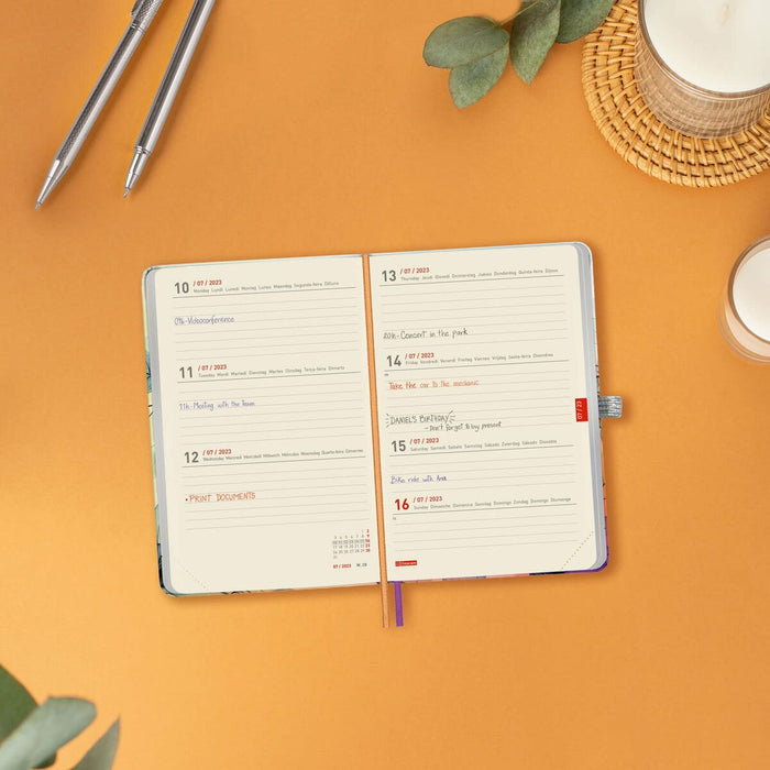 Agendă Finocam Mínimal Pretty 2023-2024 Multicolor 10 x 15 cm