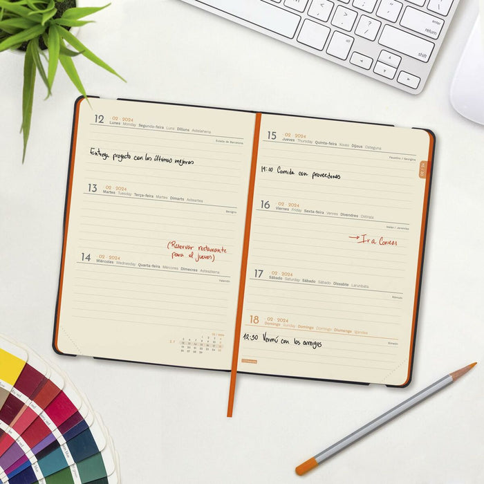 Agendă Finocam Flexi 2024 Albastru 11,8 x 16,8 cm