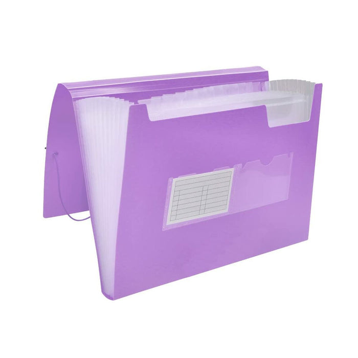 Dosar tip clasor Liderpapel FU38 Liliachiu A4