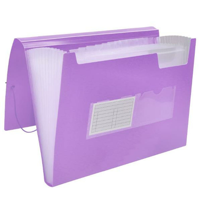 Dosar tip clasor Liderpapel FU38 Liliachiu A4