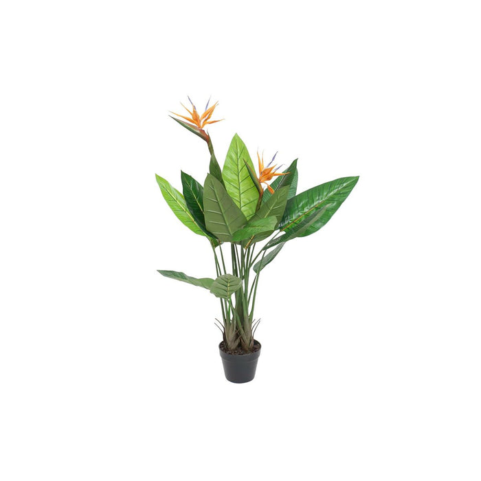Plantă decorativă DKD Home Decor (80 x 80 x 120 cm)