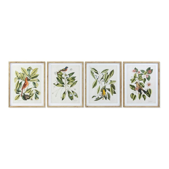 Tablou DKD Home Decor Bird 55 x 2,5 x 70 cm Tropical Păsări (4 Piese)