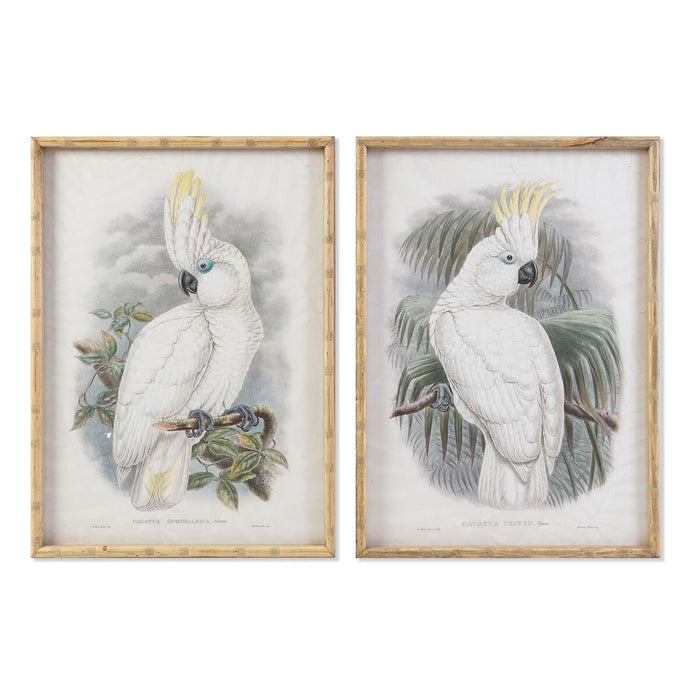 Tablou DKD Home Decor 50 x 2,8 x 70 cm Colonial Papagal (2 Unități)