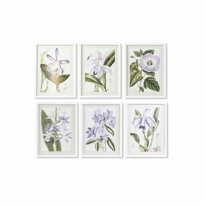 Tablou DKD Home Decor 40 x 2 x 54 cm Květiny Shabby Chic (6 Piese)