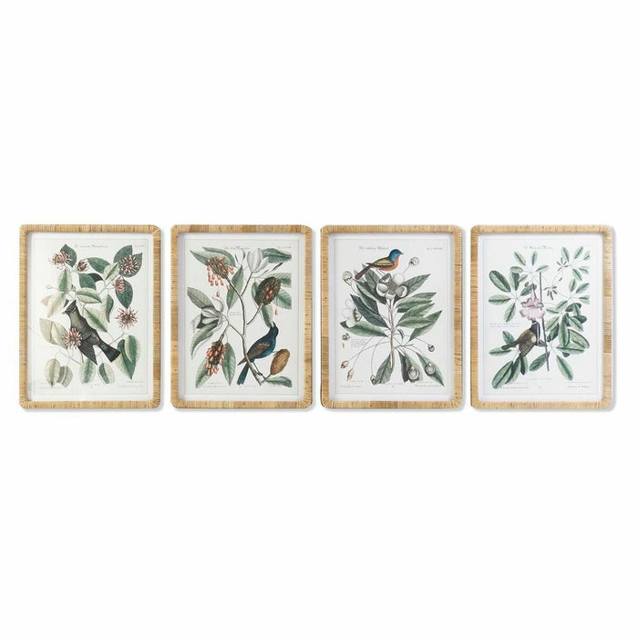 Tablou DKD Home Decor 50 x 2,5 x 65 cm Shabby Chic Plante botanice (4 Piese)